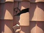 Orange County Roofer