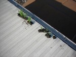 Orange County Roofer