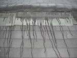 Orange County Roofer