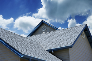 Orange County Roof Types